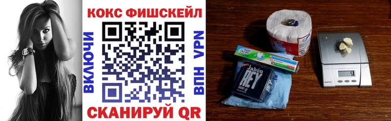 Cocaine FishScale  Купить закладки  Отрадное 