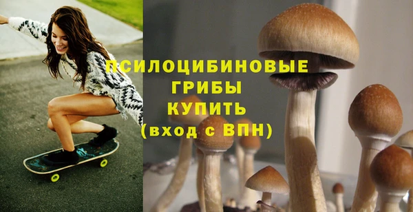 2c-b Балабаново