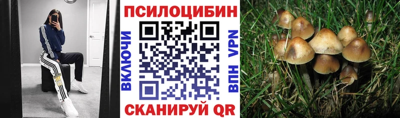 Псилоцибиновые грибы мицелий  Купить закладки  Отрадное 