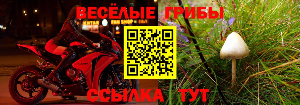 Псилоцибиновые грибы мухоморы Отрадное