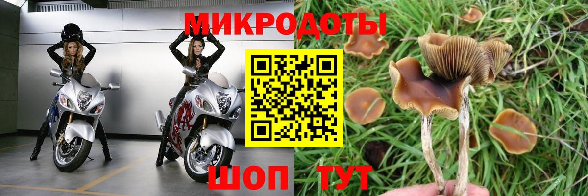 Галлюциногенные грибы Magic Shrooms  Псилоцибиновые грибы GOLDEN TEACHER  Вход с VPN  Отрадное 